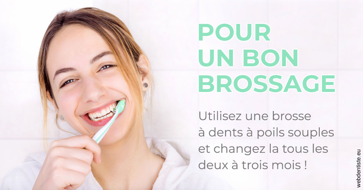 https://www.dr-dudas.fr/Pour un bon brossage 2