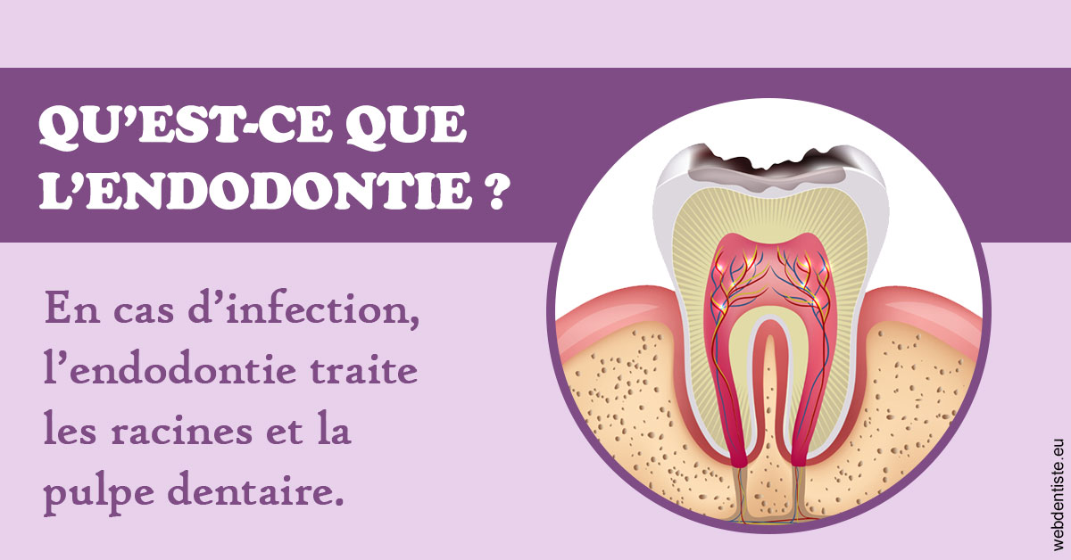 https://www.dr-dudas.fr/2024 T1 - Endodontie 02