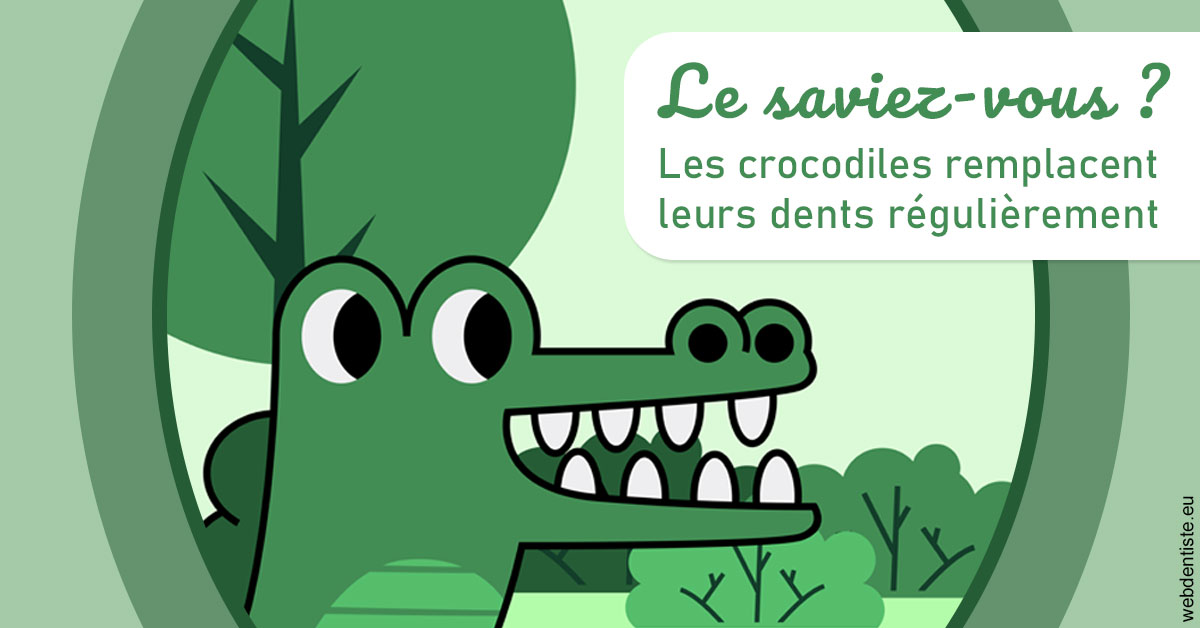 https://www.dr-dudas.fr/Crocodiles 2