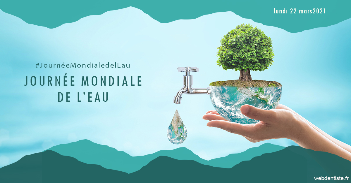 https://www.dr-dudas.fr/Journée de l'eau 1