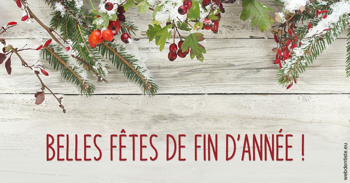 https://www.dr-dudas.fr/Joyeux Noël 2