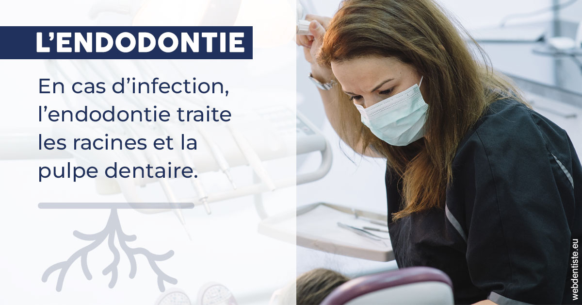 https://www.dr-dudas.fr/L'endodontie 1