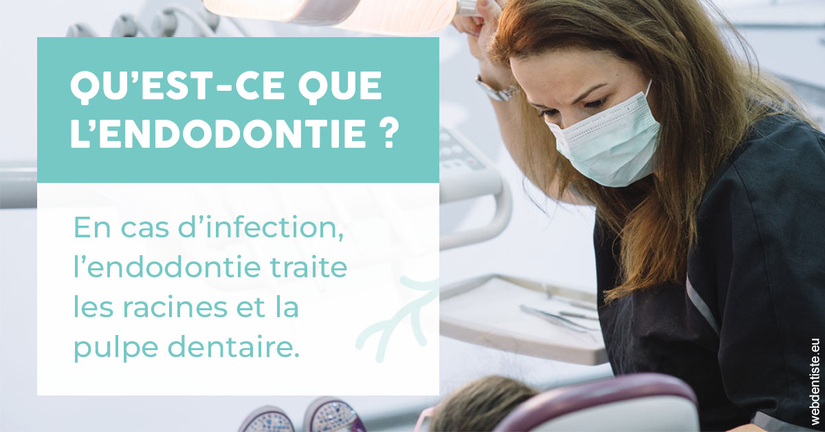 https://www.dr-dudas.fr/2024 T1 - Endodontie 01