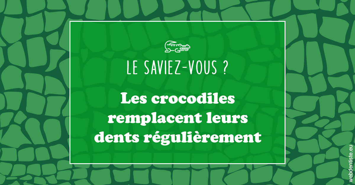 https://www.dr-dudas.fr/Crocodiles 1