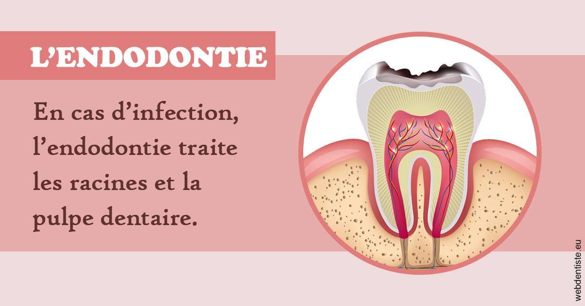 https://www.dr-dudas.fr/L'endodontie 2